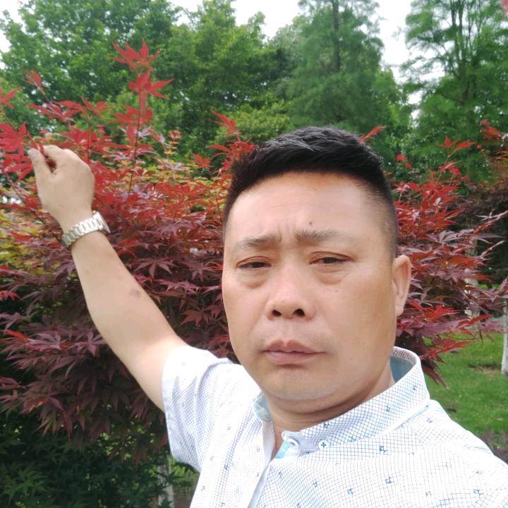 怀念那回忆