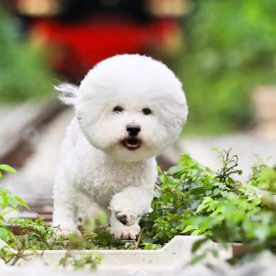 健健康康就是福气