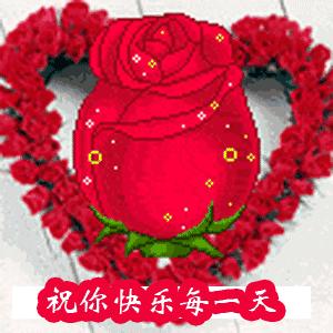 相逢是圆