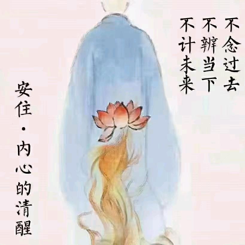 小太阳🌞