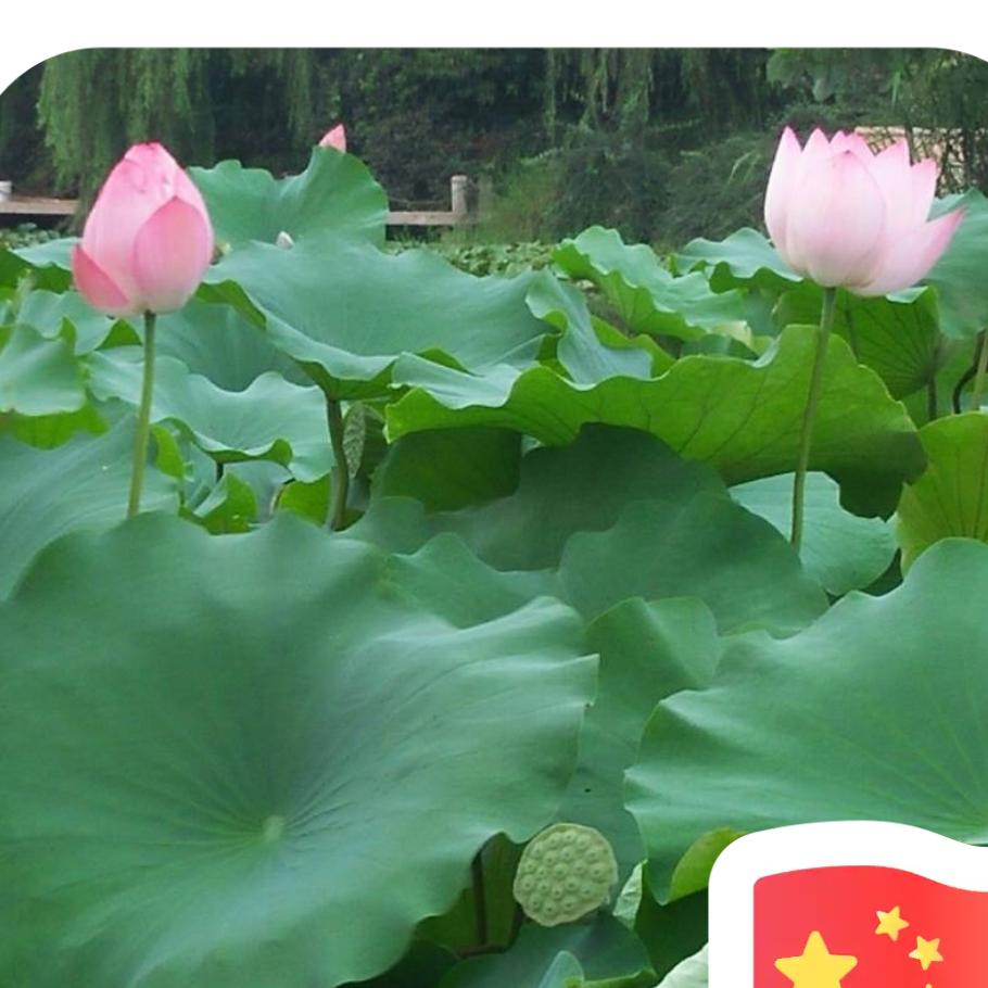 观云卷云舒