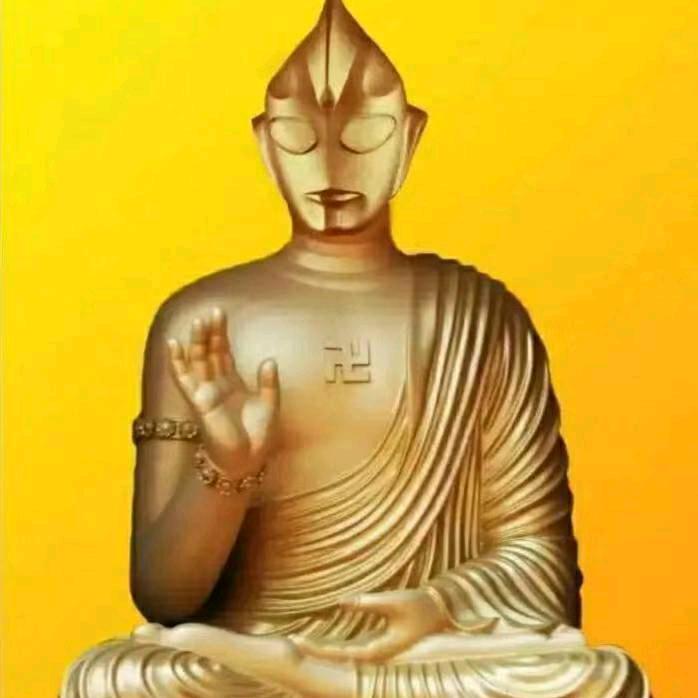 永固…吴洋☆鸽舍