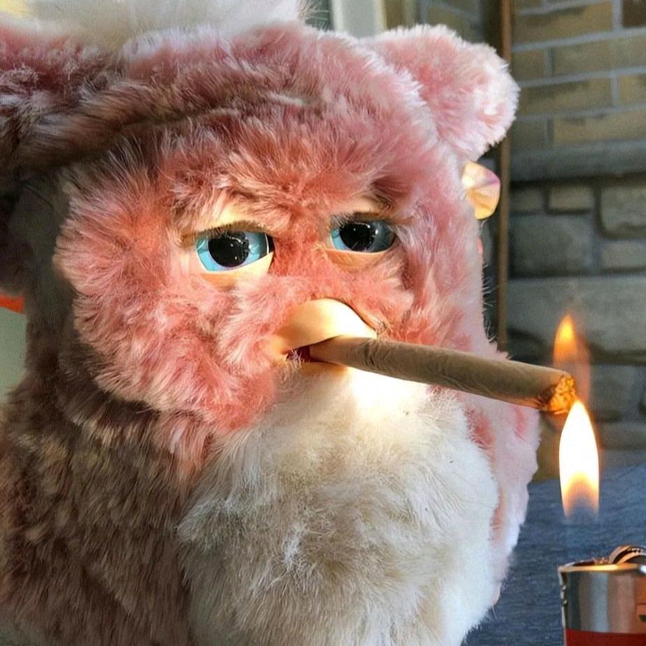 小牛讲故事