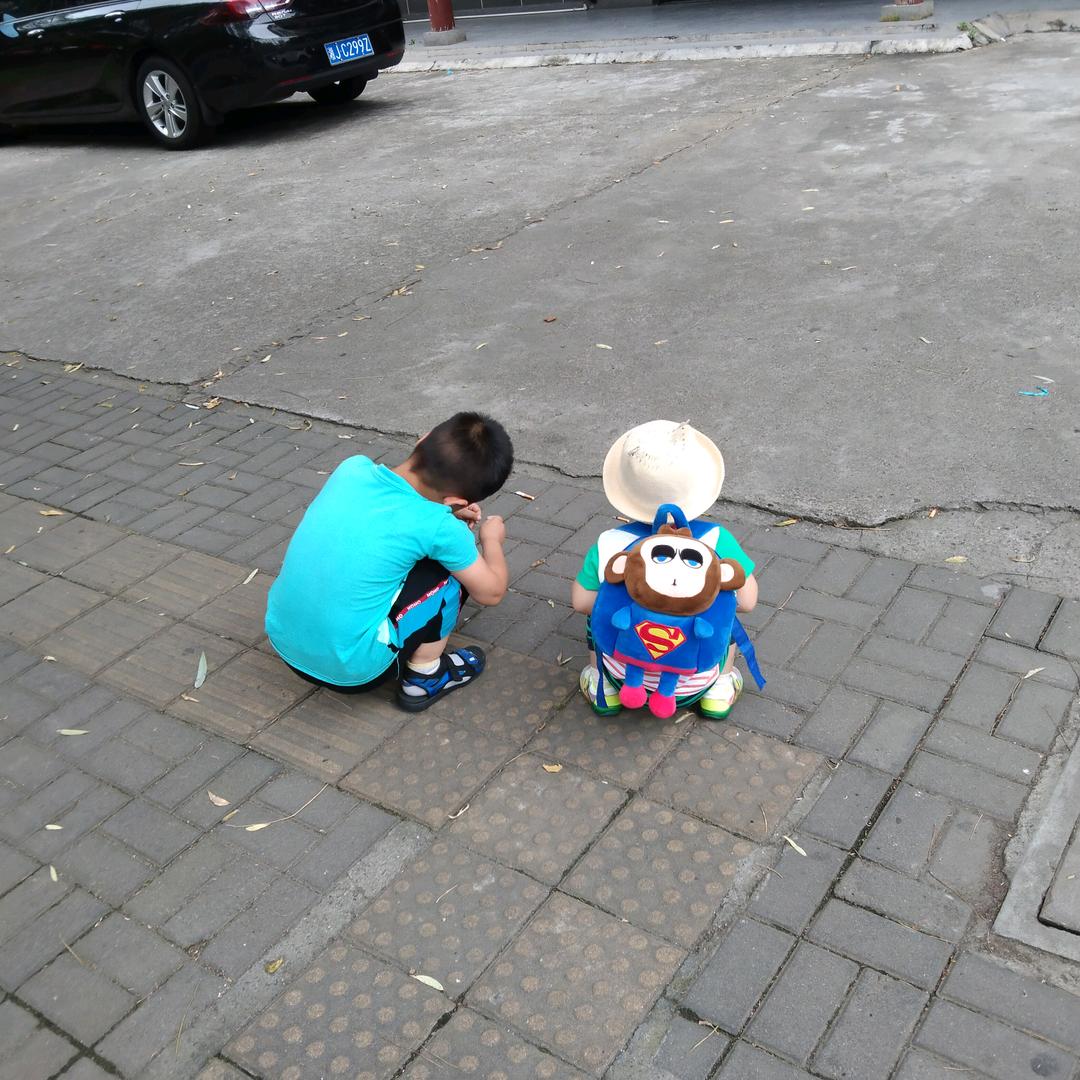可以这样说