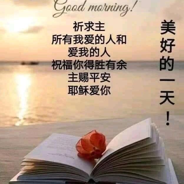 🎄十字路口🎄