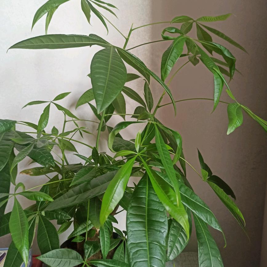 忙忙碌碌才是生活