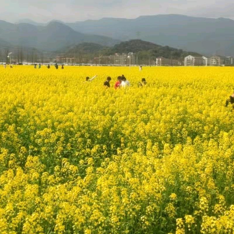 漂泊