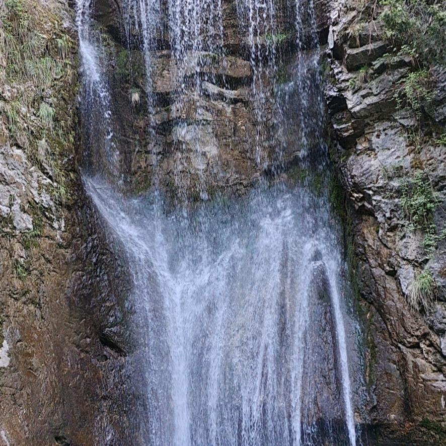 用户红白喜事策划布置