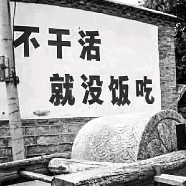 杂知社