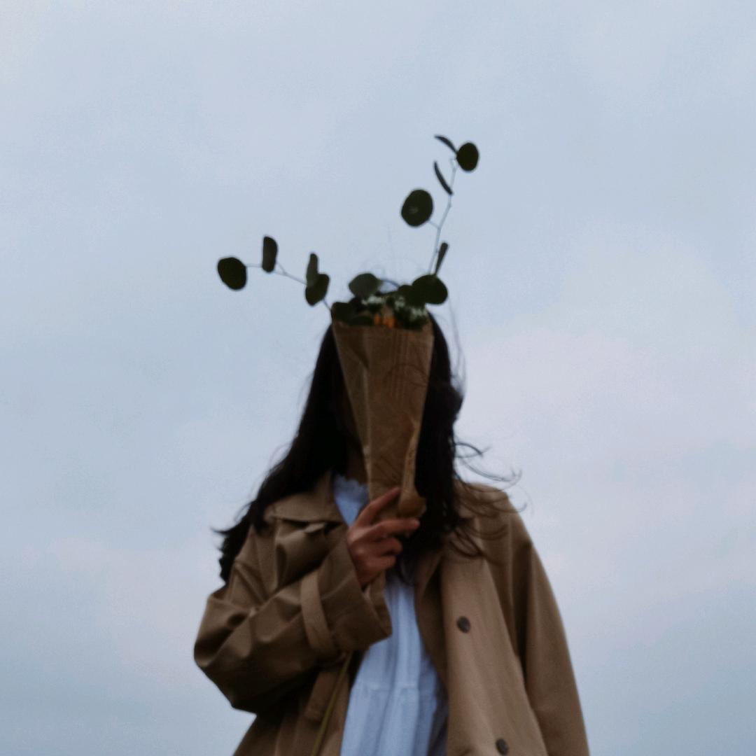 张员外-