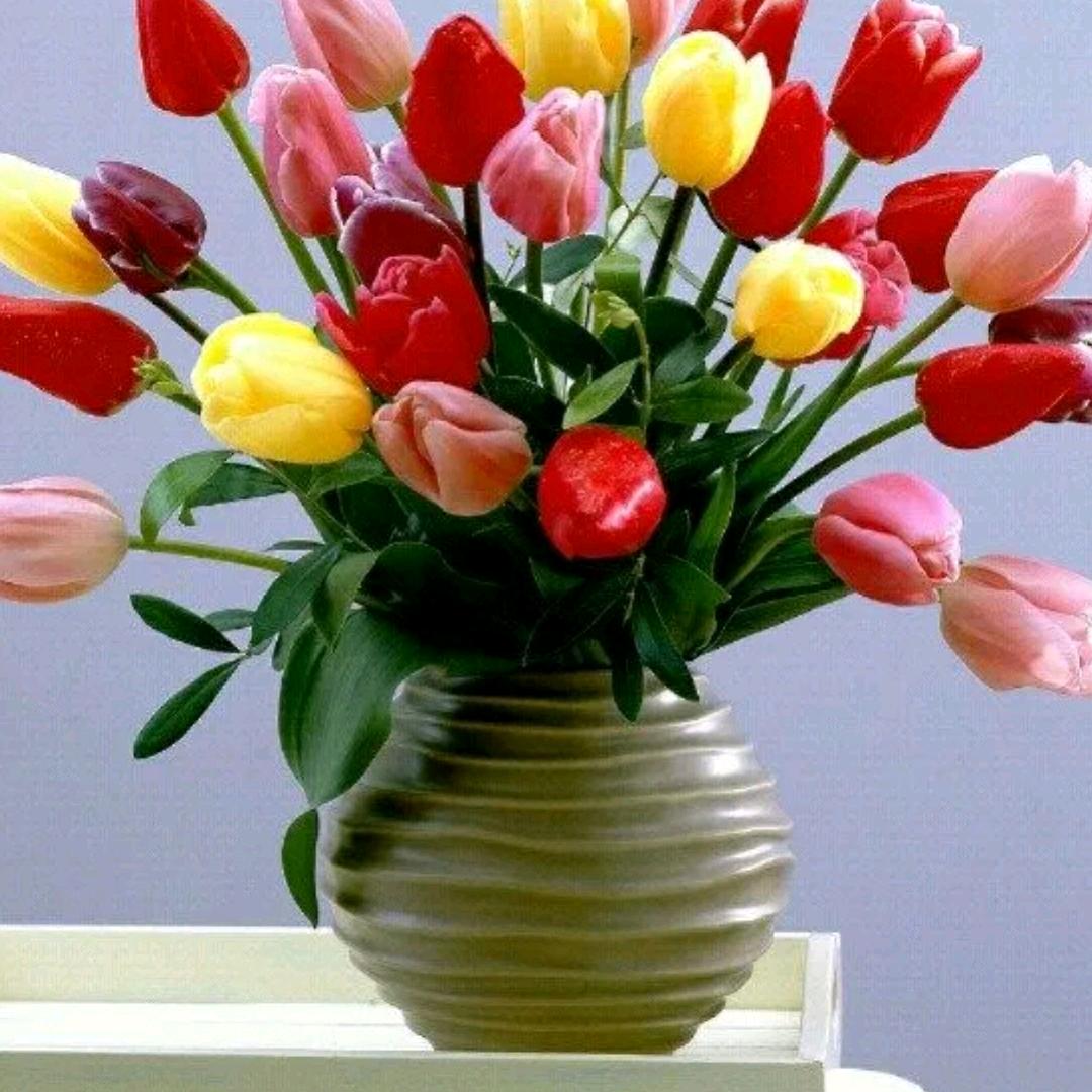 阿兰《拒绝私聊》