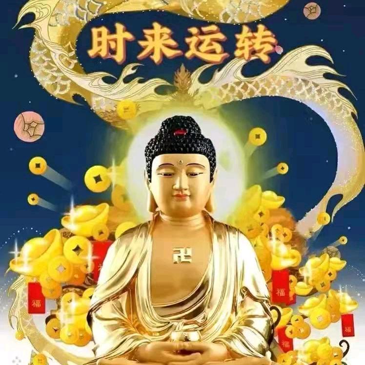 春哥时来运转