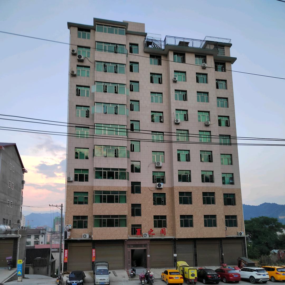 本地黑山羊种羊土狗批发