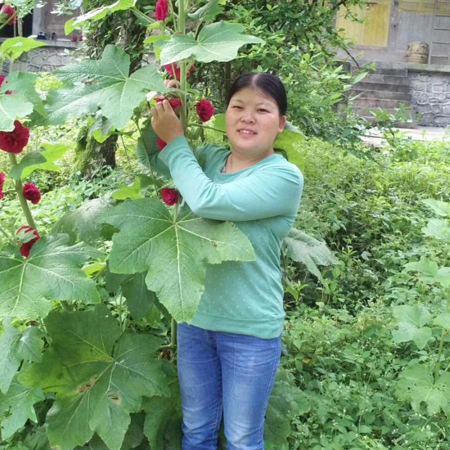 晓英农家生猪养殖场