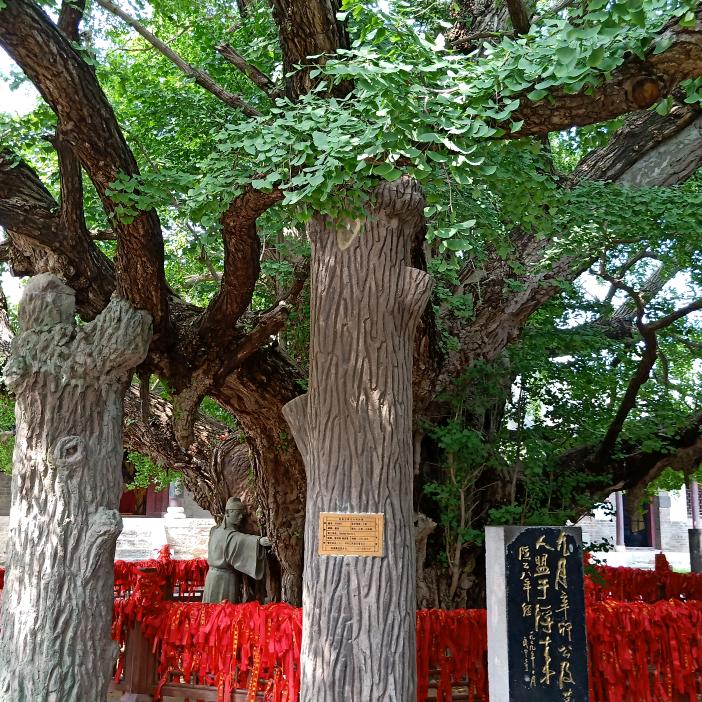 元亨利贞