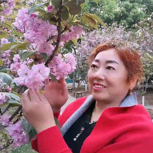 香草♏️