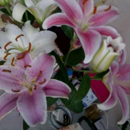 其实我想要的很简单