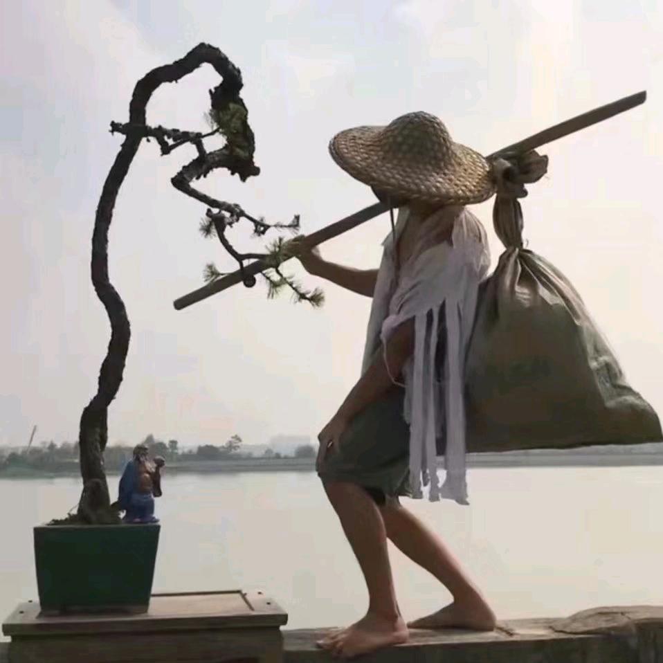 皖美如画<>藝盆景