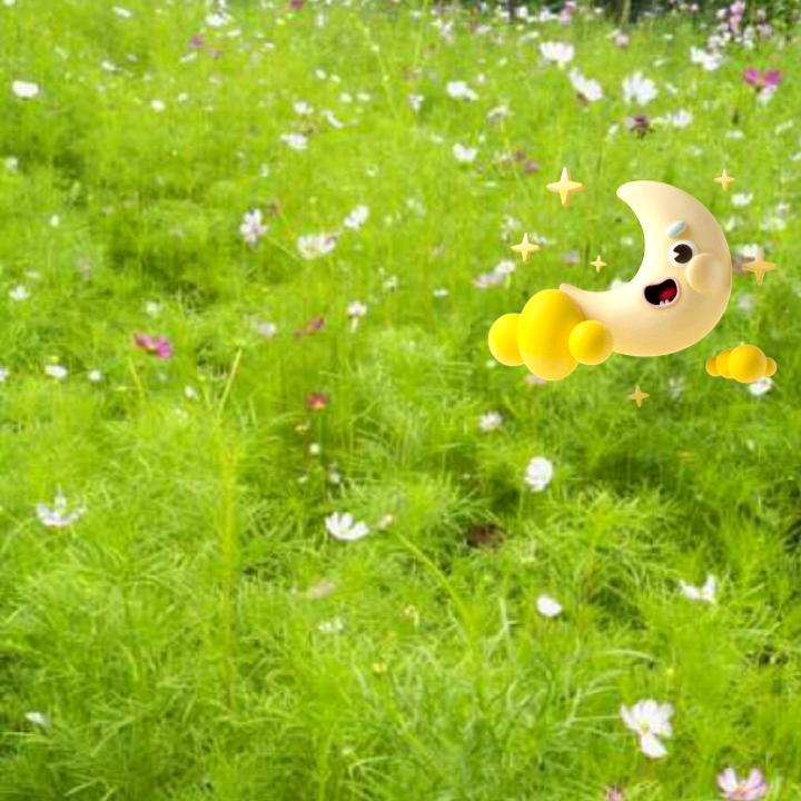 🦋 এ 陌 · 小蝶    ꦿོ࿐