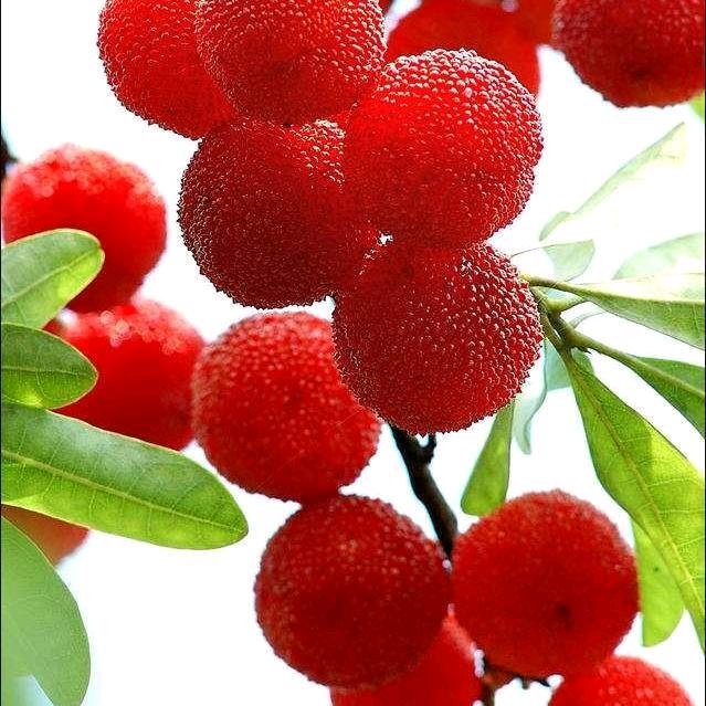 蓝天白云，江玉芳