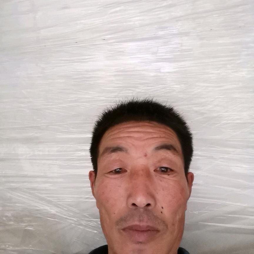 李哥。