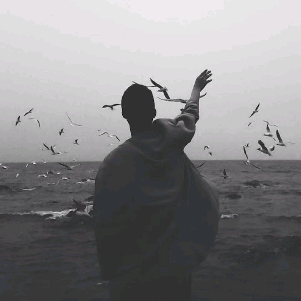 山河已暮