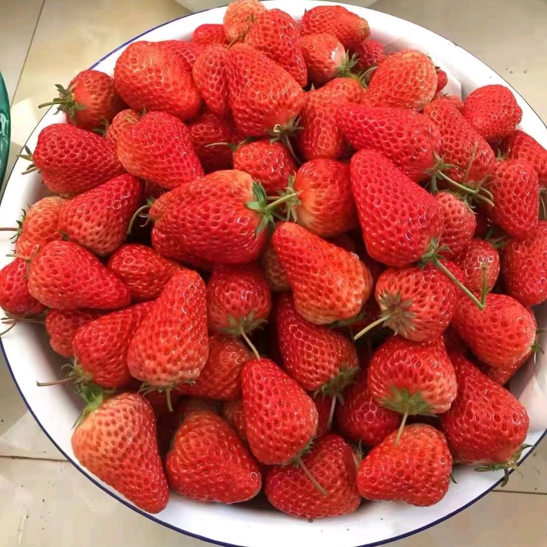 我我我