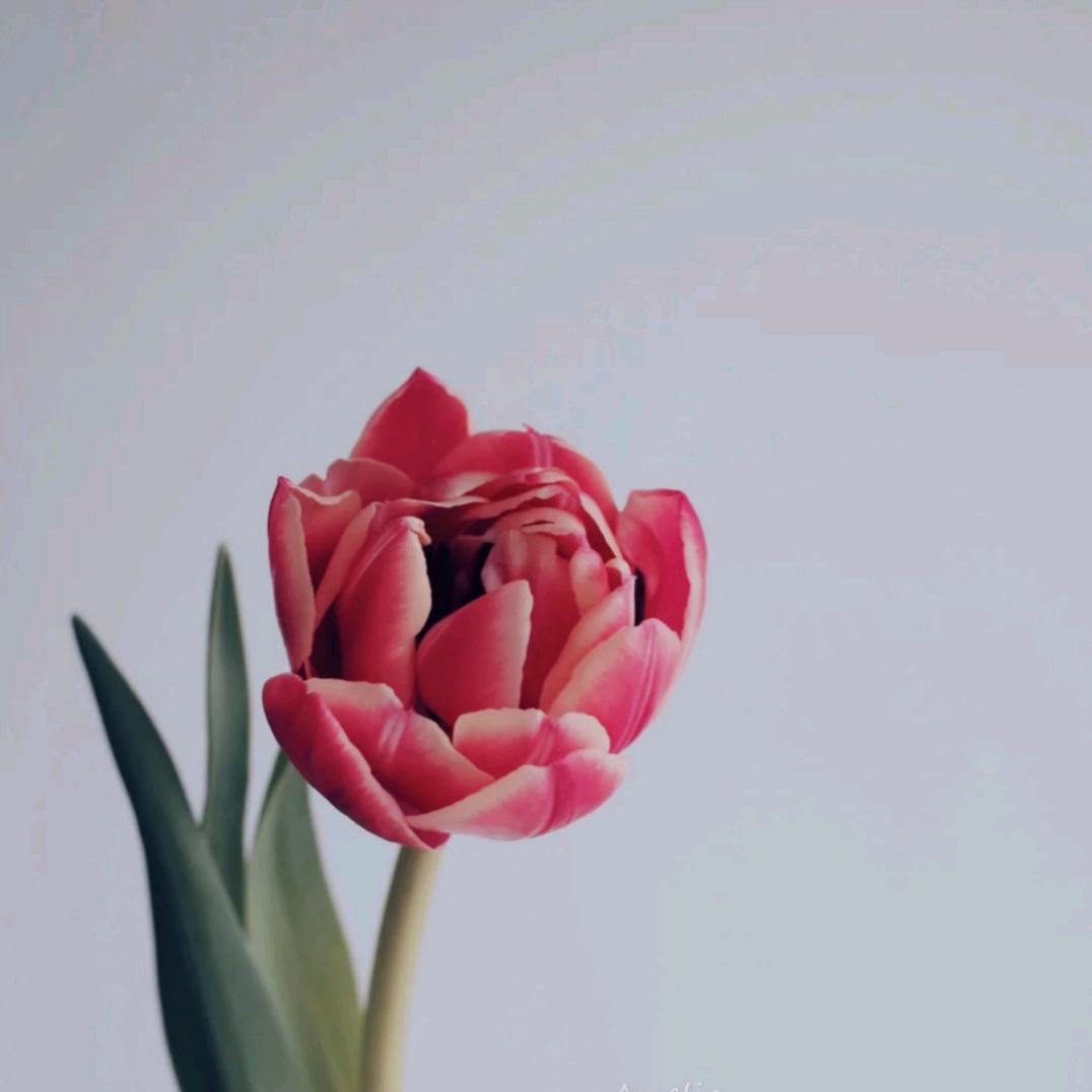 心好自然好
