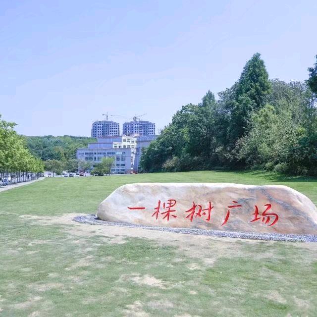 禹安垚
