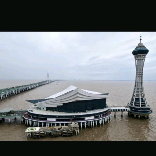 阳光总在风雨后！