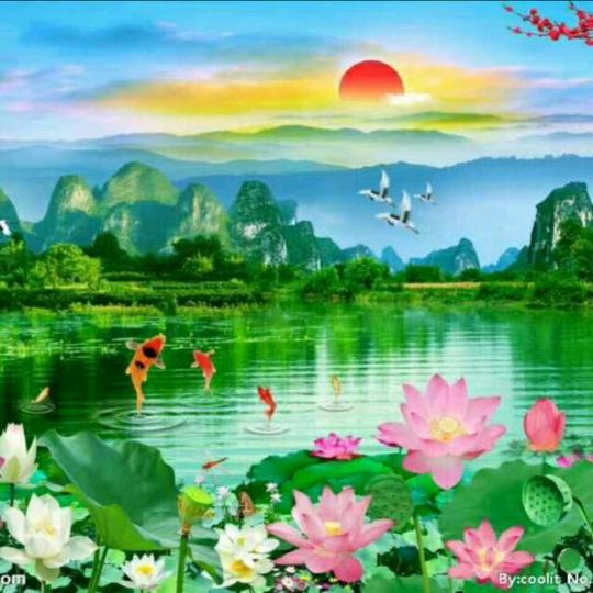 c 春暖花开