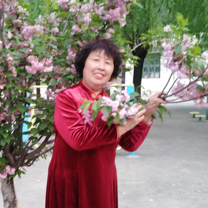 静心明月