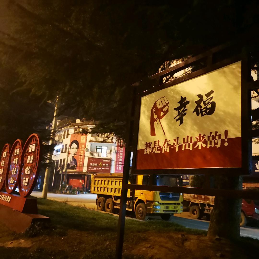 恩施黄牛