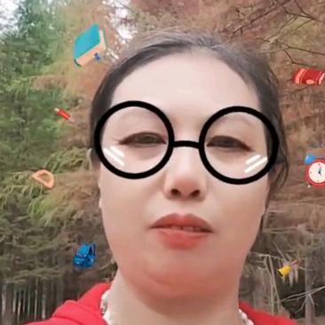 赵艳华玉带桥头农业服务部杂交水稻种子农药