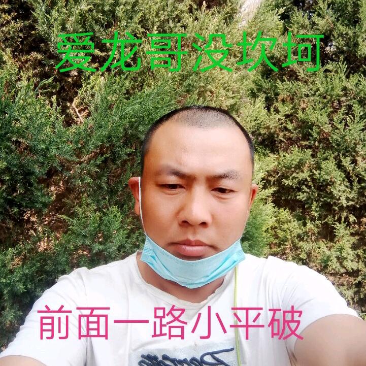 爱龙哥没坎坷