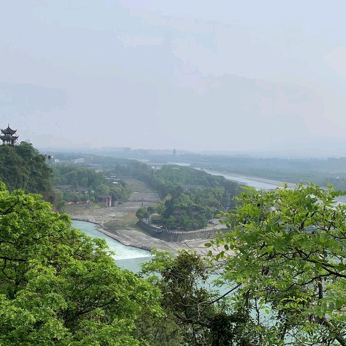 泡泡宝宝