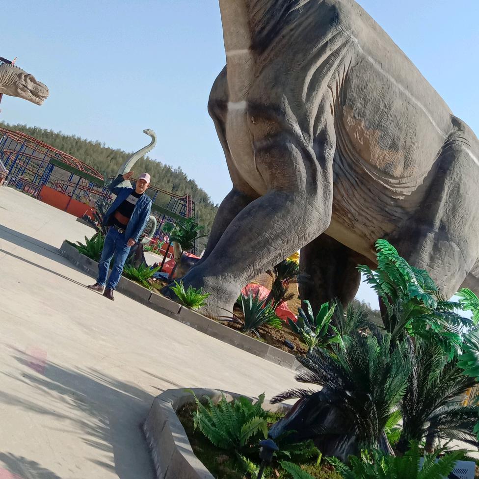 圣远1319湖北省赤壁市花亭桥村为人民服