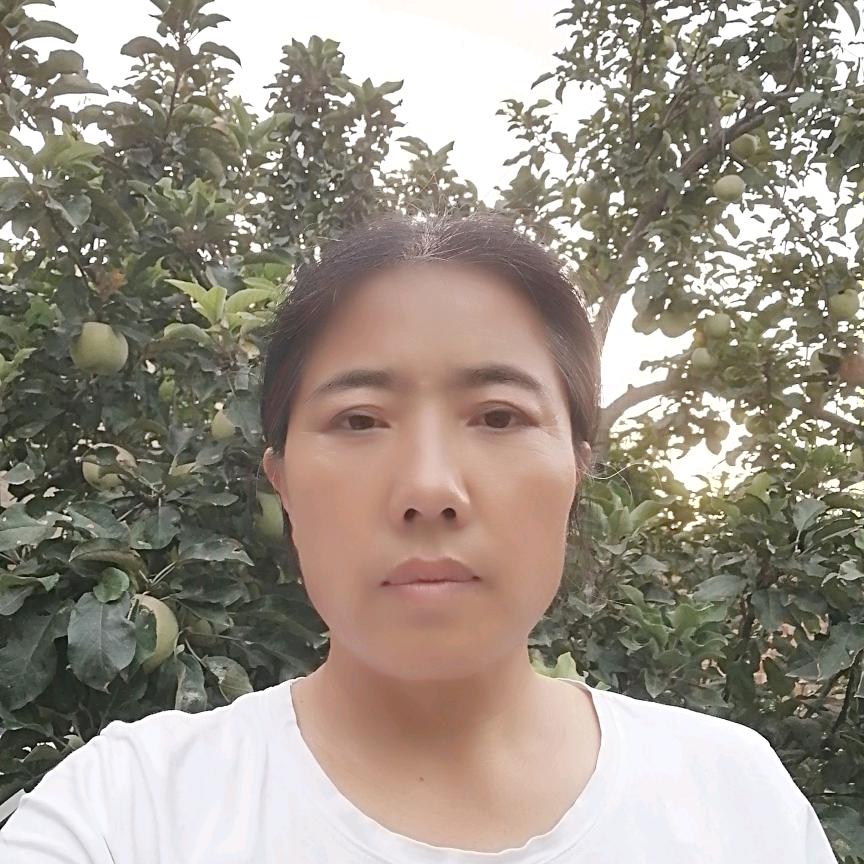 凯凯妈上午九点半开播