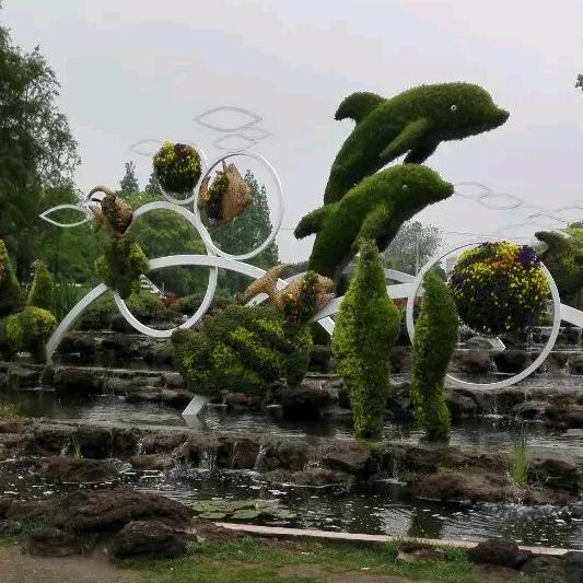 南风似夏草