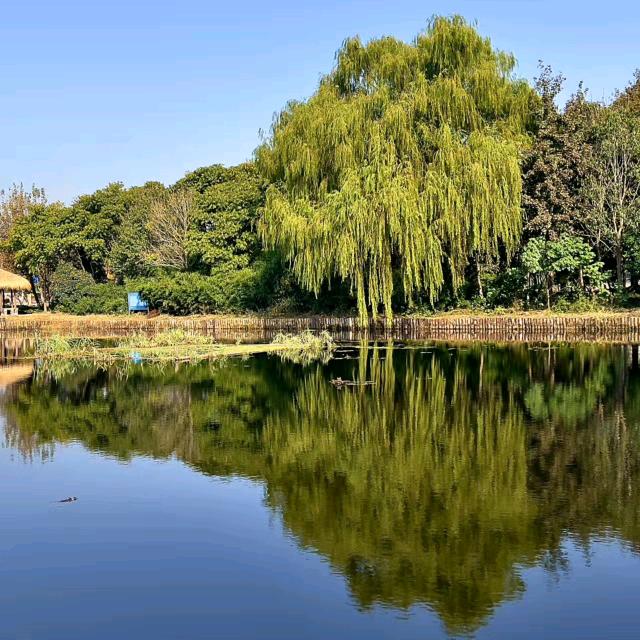 蓼城山河