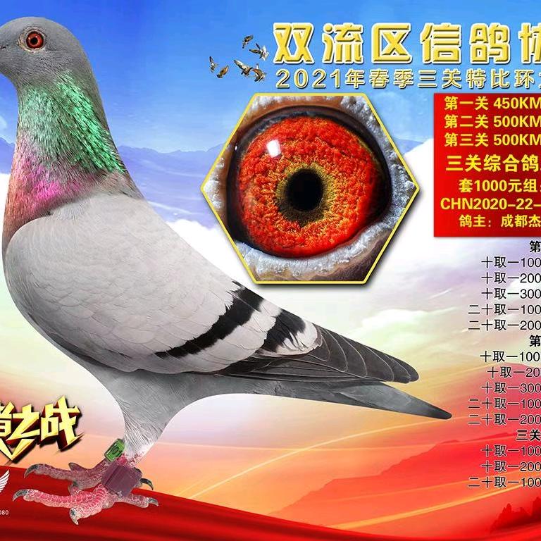 成都杰翔
