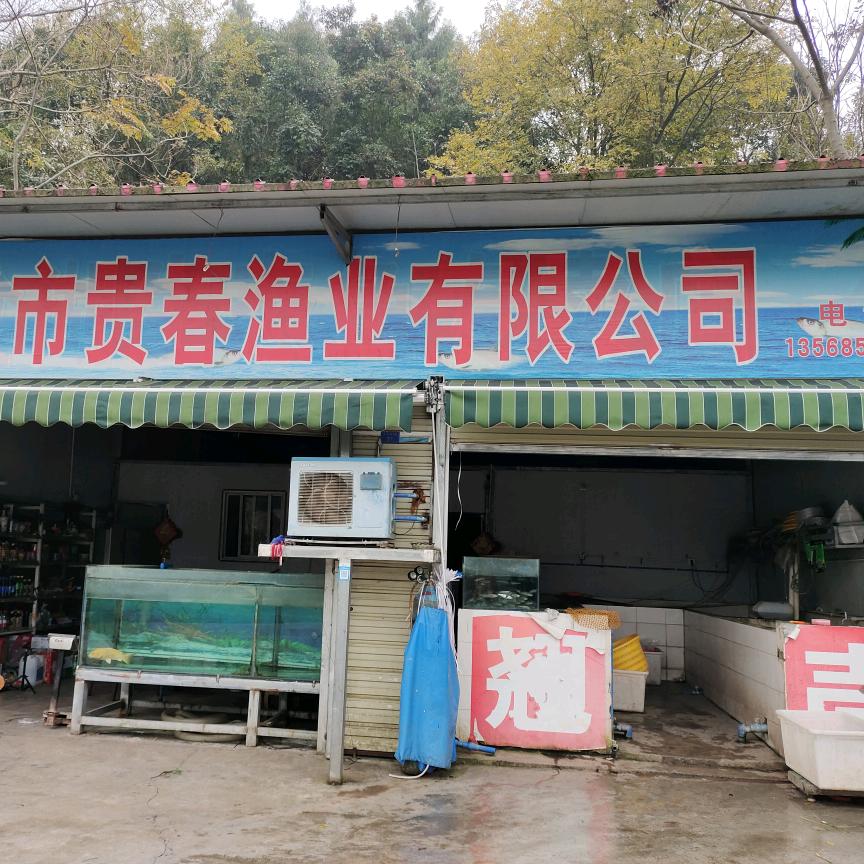 三岔湖生态鱼
