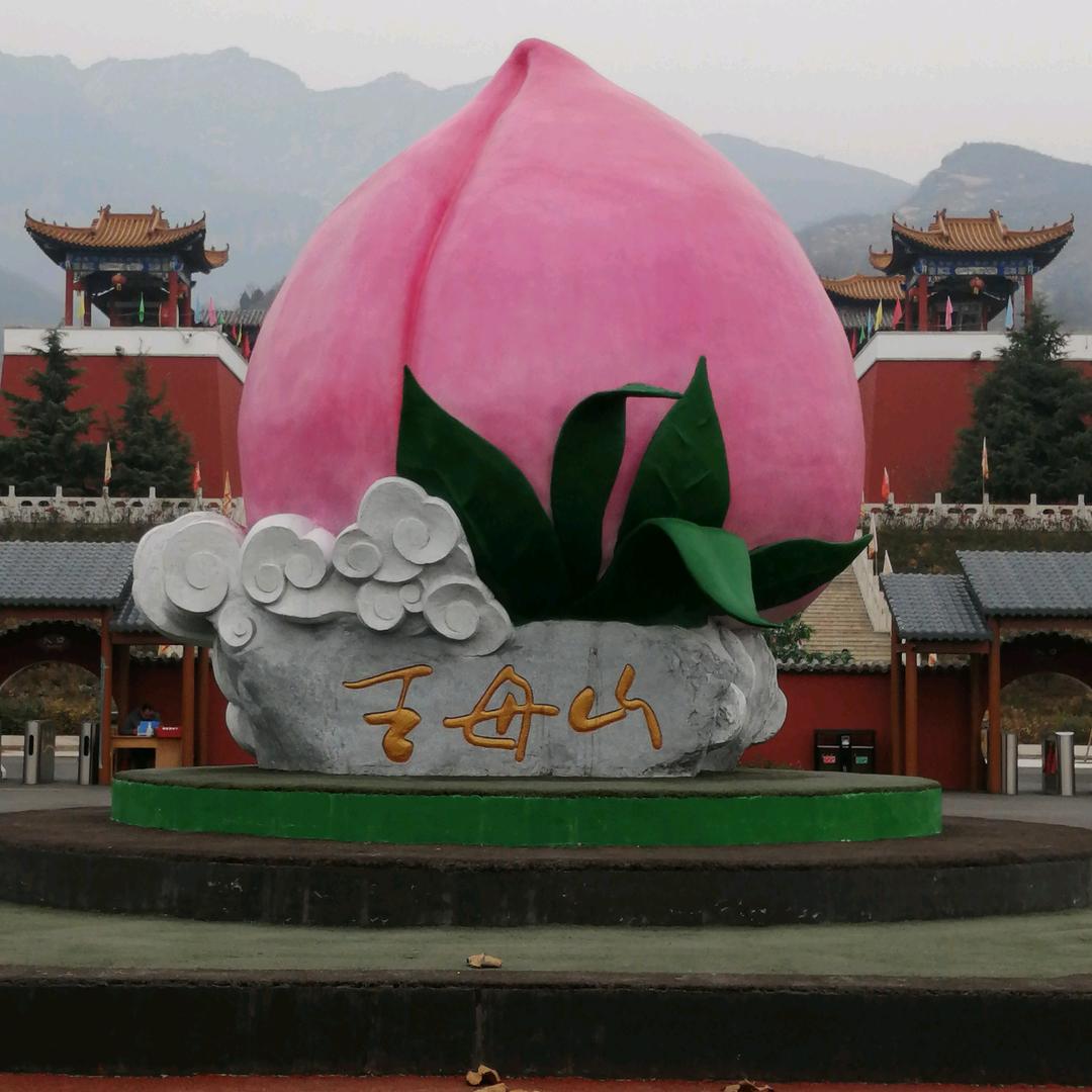 🌸菩提结善缘🌸