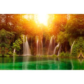 栖霞市梦航果品专业合作社(群众葡萄保鲜）