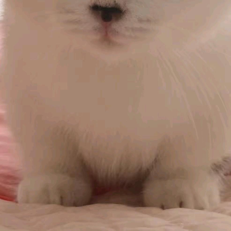 法师，