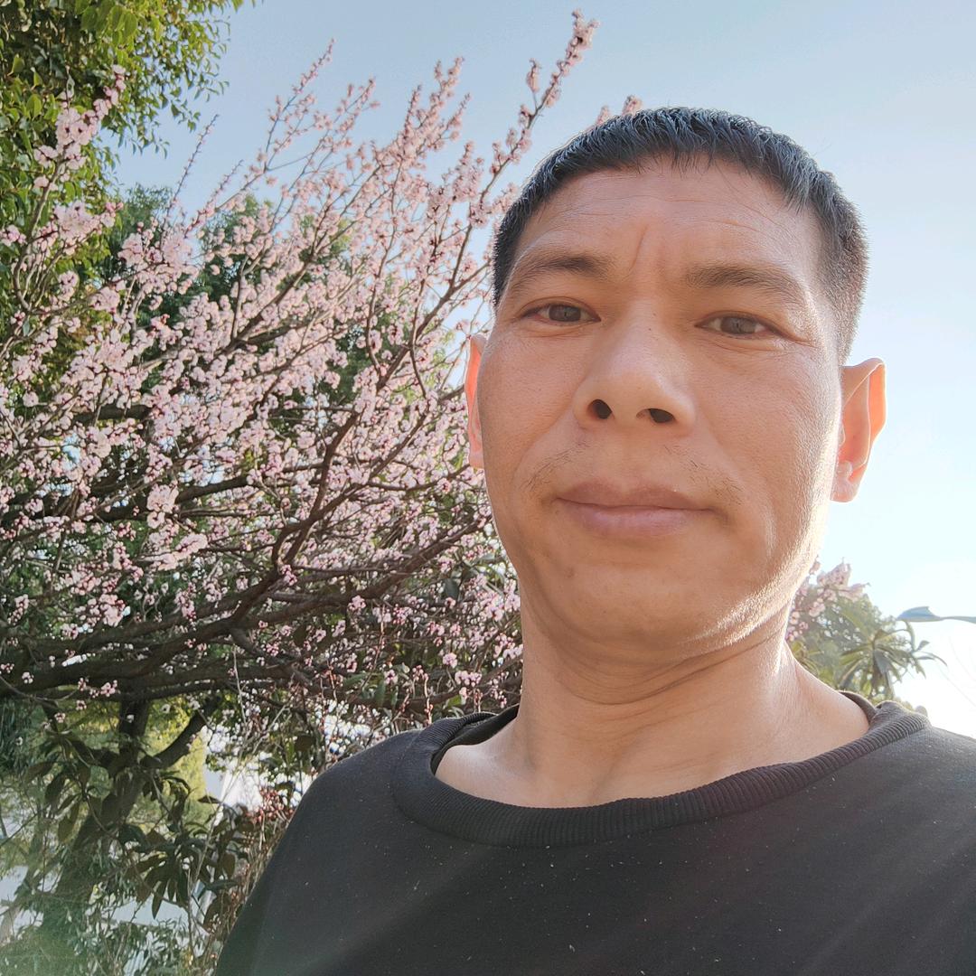 阳光灿烂贝仔
