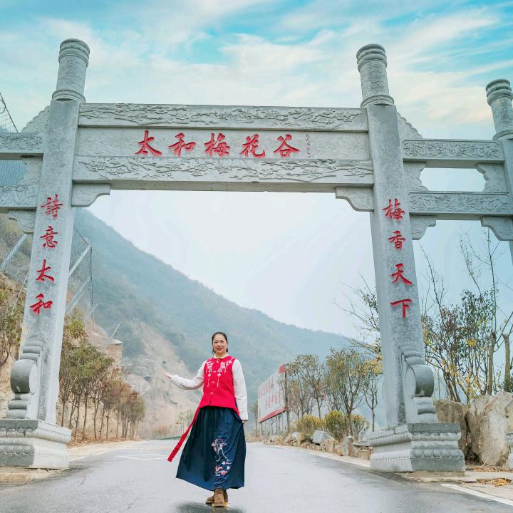 太和梅花谷旅游区（国家4A级旅游区）
