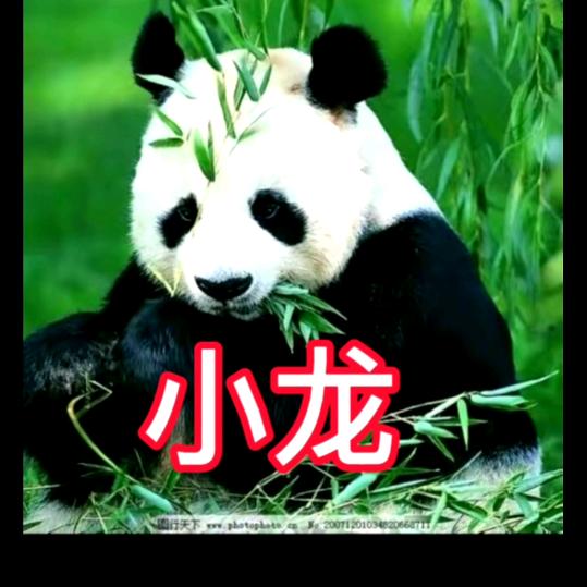 贵州小龙920