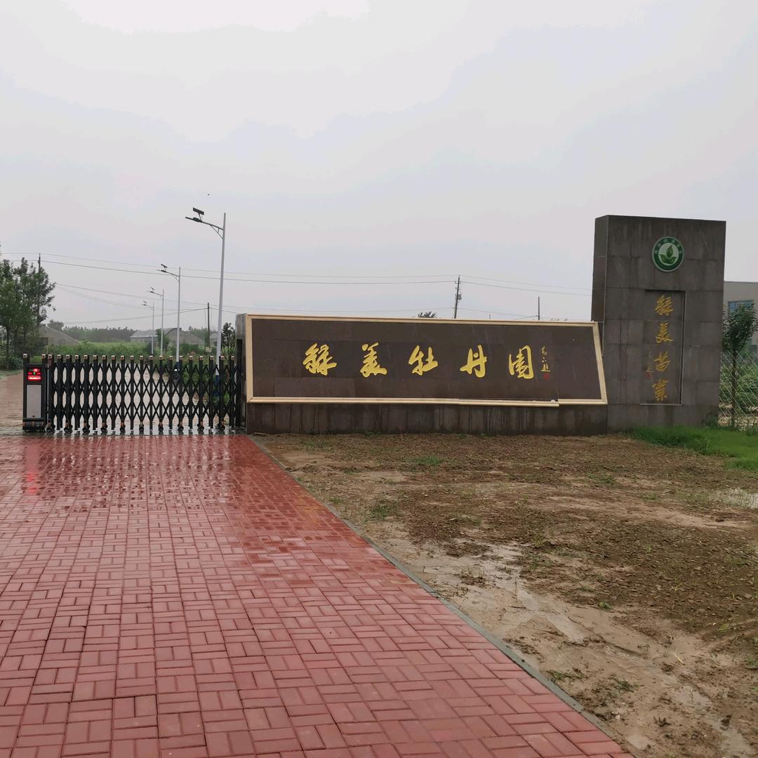 菏泽绿美牡丹产业园