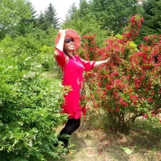 梦之兰